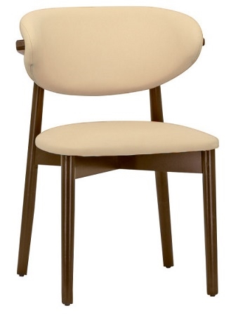 Modern Upholstered Designer Wood Chair